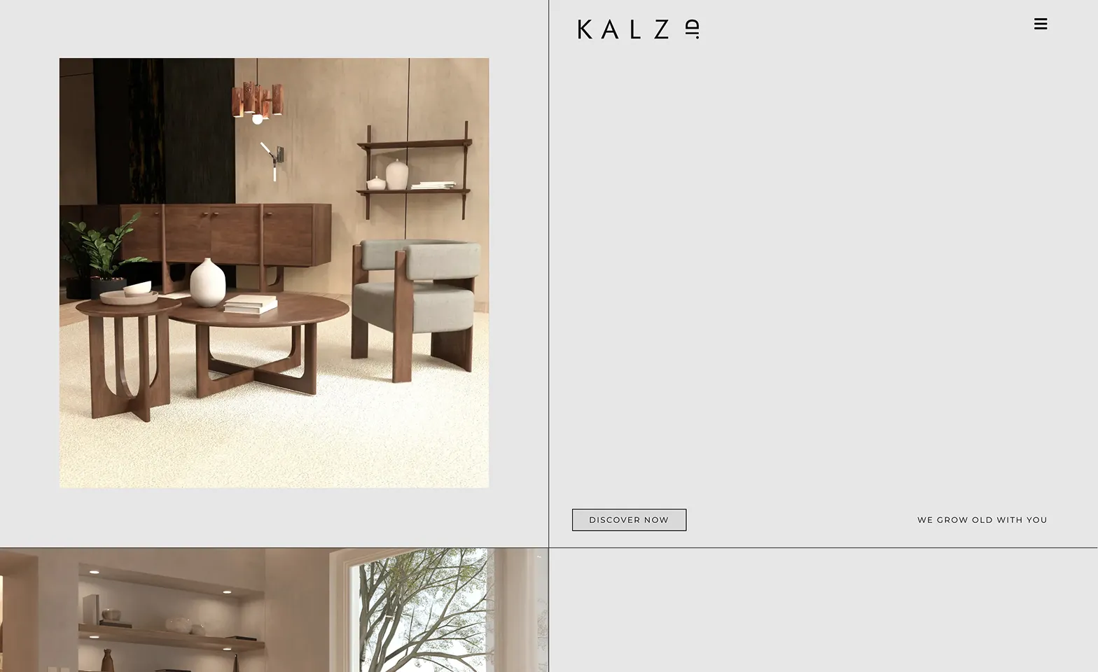 KALZLAB - WEB DEVELOPMENT project screenshot